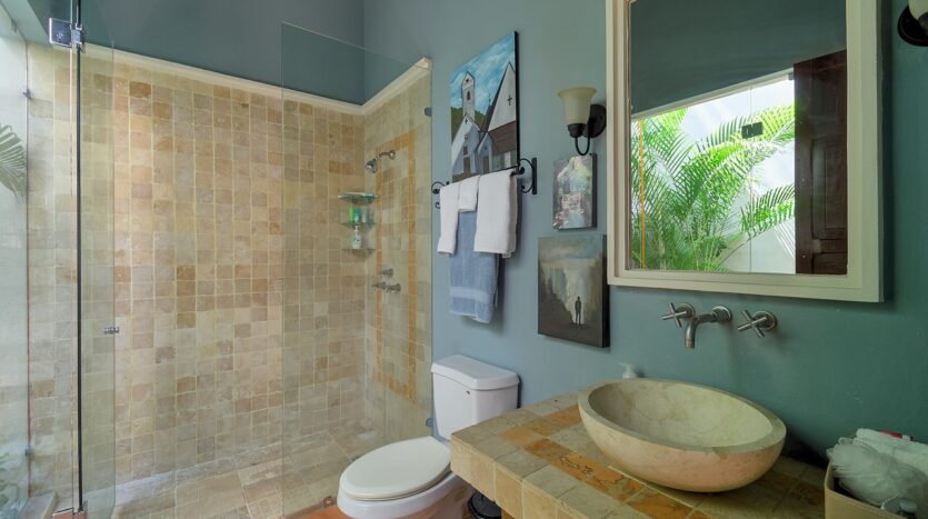 Casa La Perlita - Large Luxury Colonial in Centro